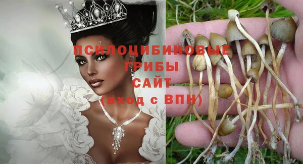 экстази Нестеровская