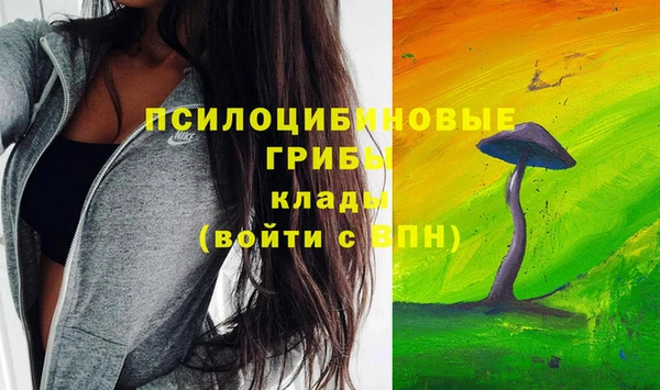 гидропоника Красноперекопск