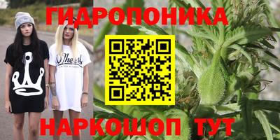 марихуана Заводоуковск